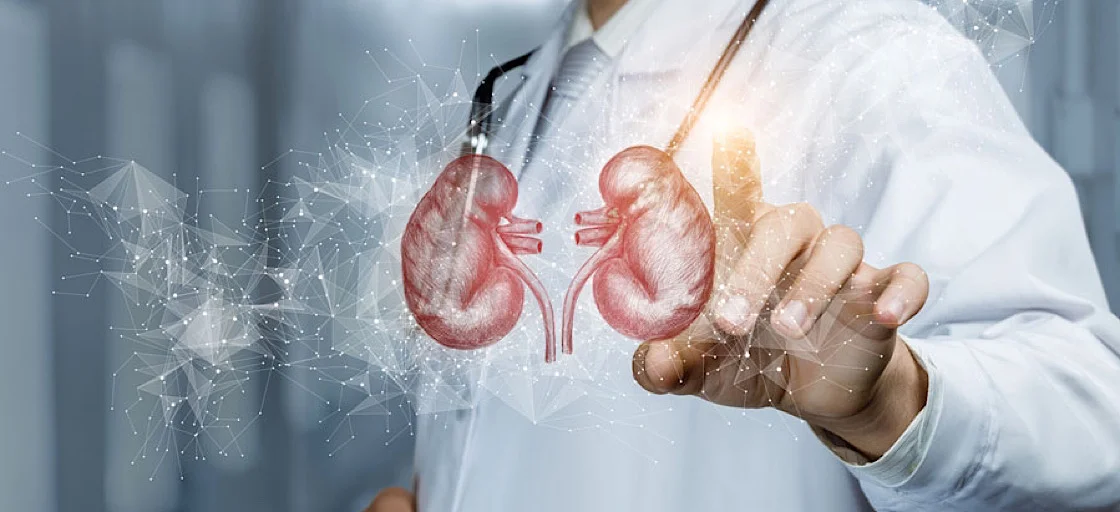 Питьевая щелочная вода. Благотворное влияние на почки